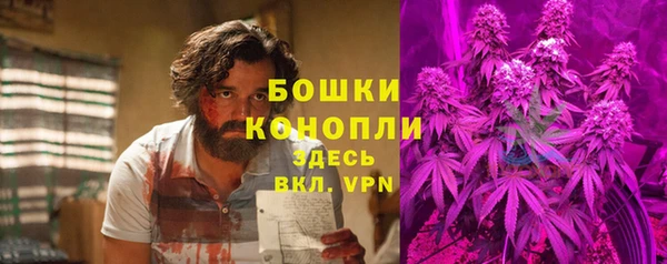 мдпв Вязьма